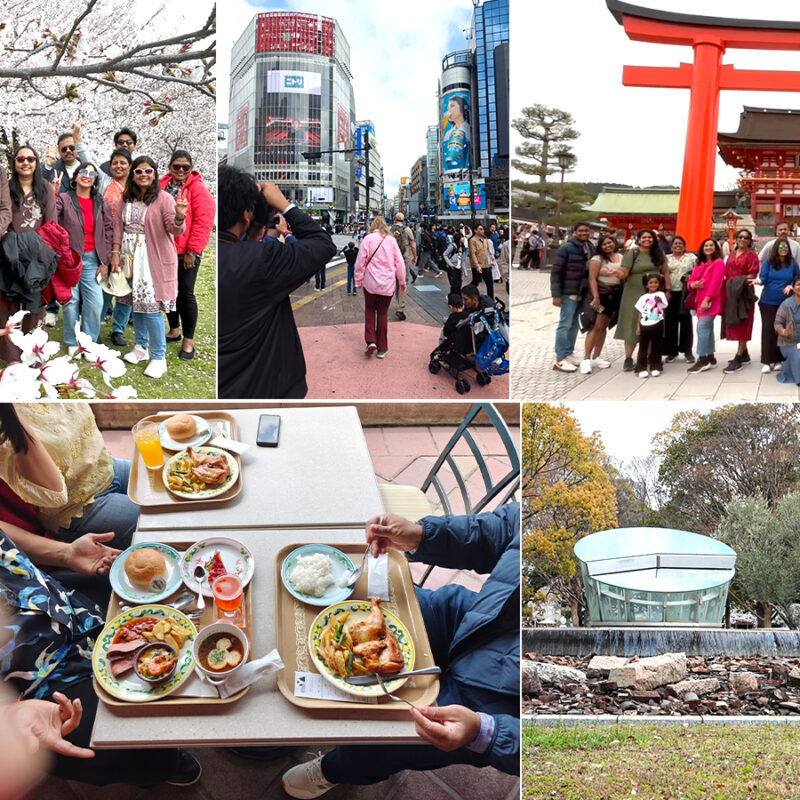 Scenic cherry blossom view in Japan