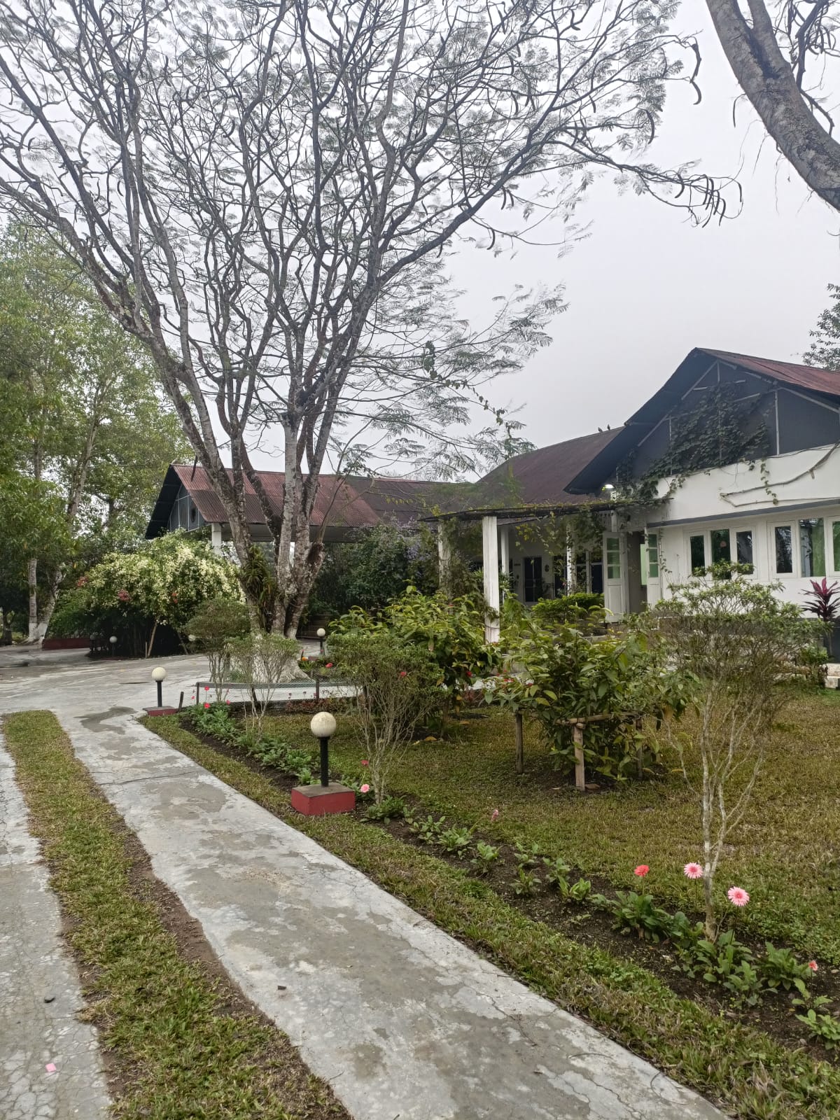 A Building, Puroni Bheti